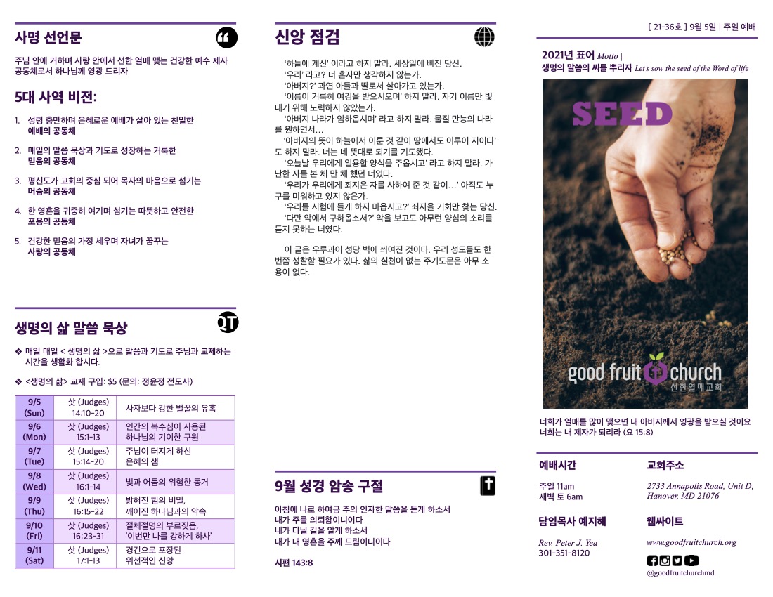 https://saesamm.com/data/file/sub_0304/2906860434_GsR8qDph_e765a5d1f7d99ef901c65d8125cd9e7098cb18b3.jpg